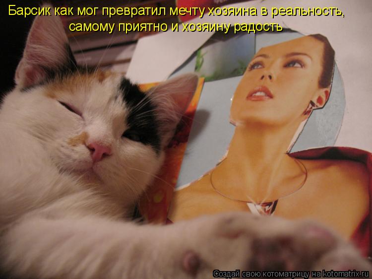 Барсик как мог превратил мечту хозяина в реальность, самому приятно и хозяину радость... Котоматрица: Барсик как мог превратил мечту хозяина в реальность, самому приятно и хозяину радость