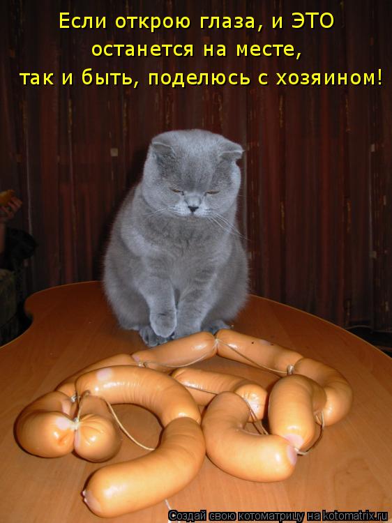 Если открою глаза, и ЭТО останется на месте, так и быть, поделюсь с хозяином!... Котоматрица: Если открою глаза, и ЭТО останется на месте, так и быть, поделюсь с хозяином!
