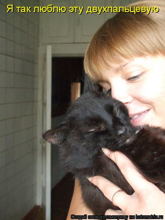 Я так люблю эту двухпальцевую... Котоматрица: Я так люблю эту двухпальцевую