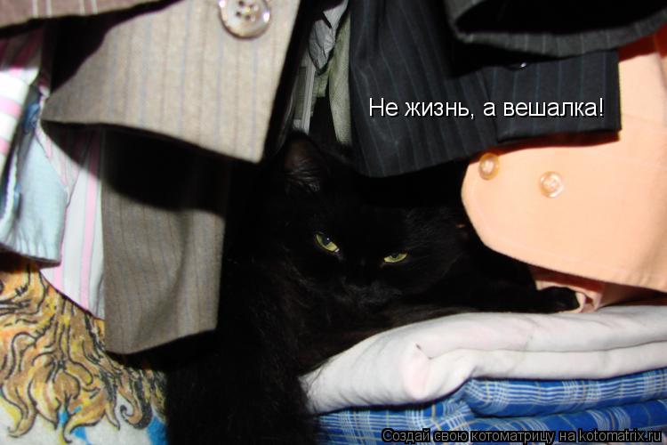 Не жизнь, а вешалка!... Котоматрица: Не жизнь, а вешалка!