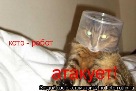 котэ - робот атакует!... Котоматрица: котэ - робот атакует!