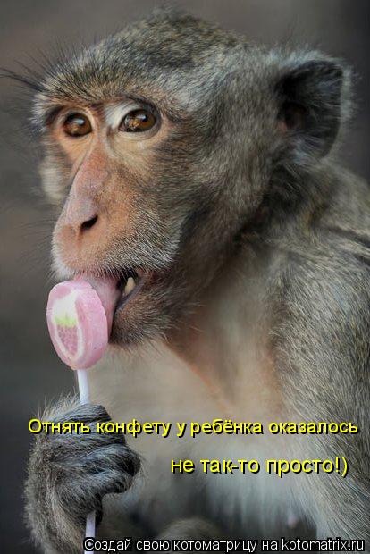 Отнять конфету у ребёнка оказалось не так-то просто!)... Котоматрица: Отнять конфету у ребёнка оказалось не так-то просто!)