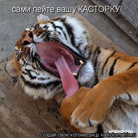 сами пейте вашу КАСТОРКУ!... Котоматрица: сами пейте вашу КАСТОРКУ!