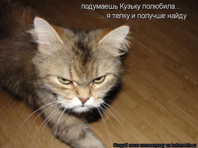 подумаешь Кузьку полюбила... ... я телку и получше найду... Котоматрица: подумаешь Кузьку полюбила... ... я телку и получше найду