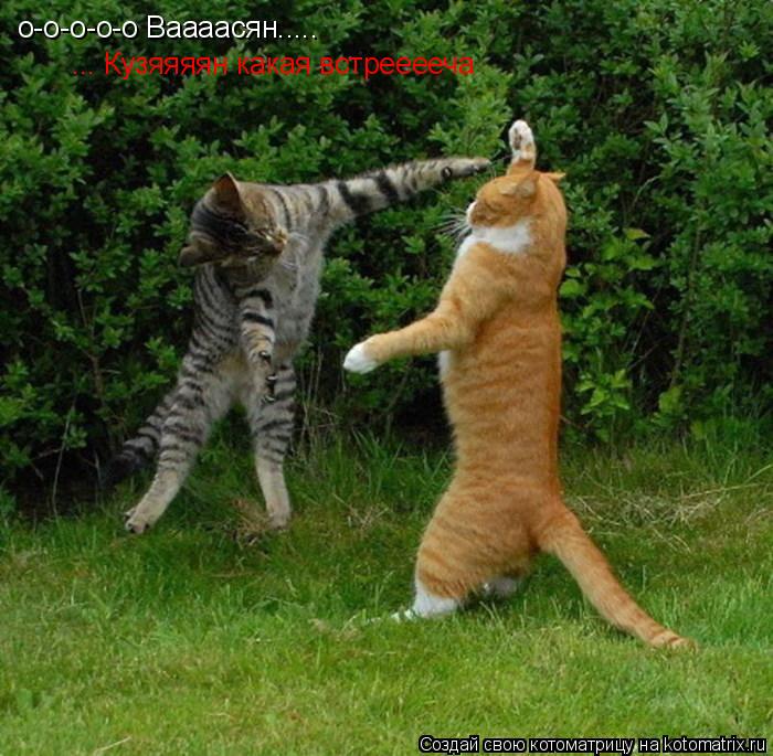 о-о-о-о-о Ваааасян..... ... Кузяяяян какая встрееееча... Котоматрица: о-о-о-о-о Ваааасян..... ... Кузяяяян какая встрееееча