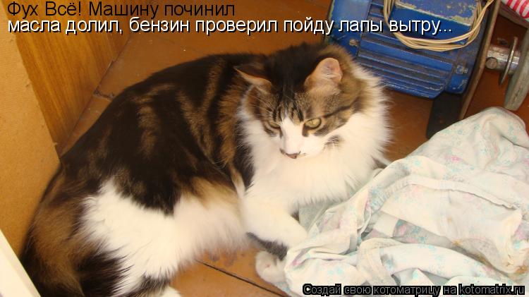 масла долил, бензин проверил пойду лапы вытру... Фух Всё! Машину починил... Котоматрица: масла долил, бензин проверил пойду лапы вытру... Фух Всё! Машину починил