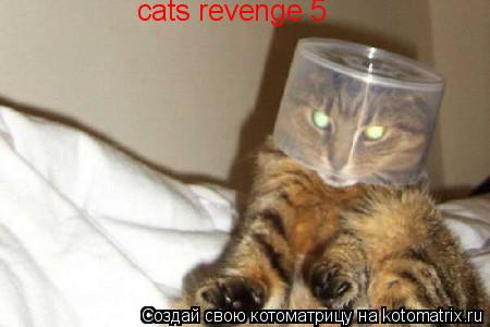 cats revenge 5... Котоматрица: cats revenge 5