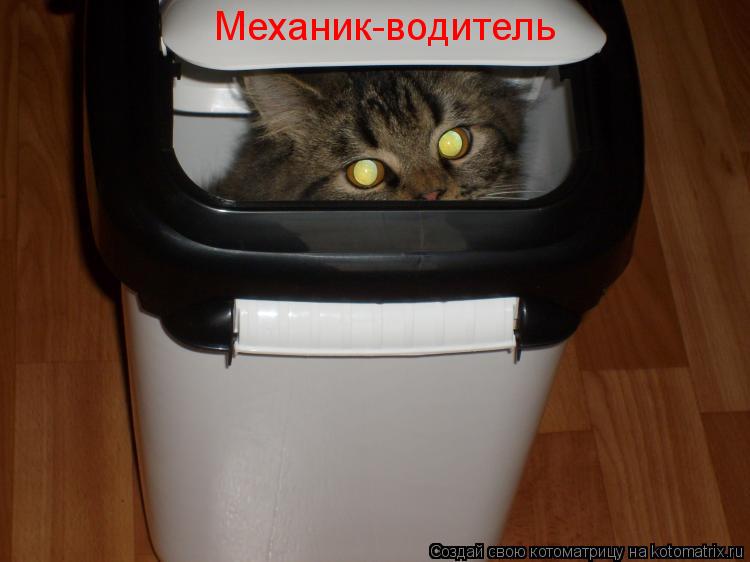 Механик-водитель... Котоматрица: Механик-водитель