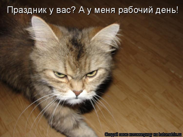 Праздник у вас? А у меня рабочий день!... Котоматрица: Праздник у вас? А у меня рабочий день!