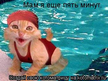 Мам я еще пять минут.... Котоматрица: Мам я еще пять минут.