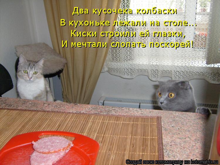 Два кусочека колбаски В кухоньке лежали на столе... Киски строили ей глазки, И мечтали слопать поск... Котоматрица: Два кусочека колбаски В кухоньке лежали на столе... Киски строили ей глазки, И мечтали слопать поскорей!
