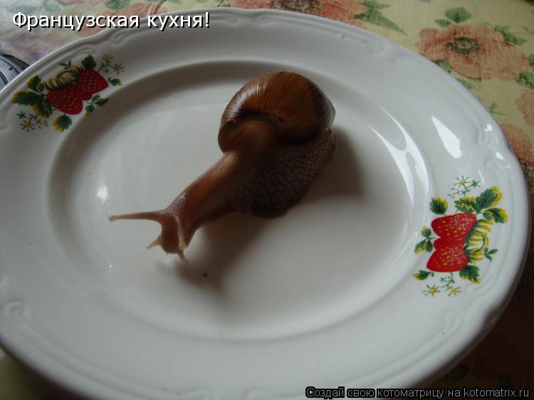 Французская кухня!... Котоматрица: Французская кухня!