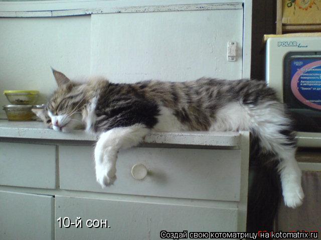 10-й cон.... Котоматрица: 10-й cон.