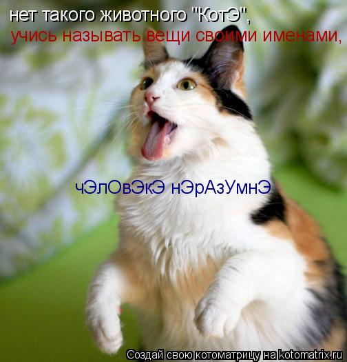 нет такого животного "КотЭ", учись называть вещи своими именами, человЭкЭ НэразумнЭ!!! чЭлОвЭкЭ нЭрАз... Котоматрица: нет такого животного "КотЭ", учись называть вещи своими именами, человЭкЭ НэразумнЭ!!! чЭлОвЭкЭ нЭрАзУмнЭ учись называть вещи своими именам