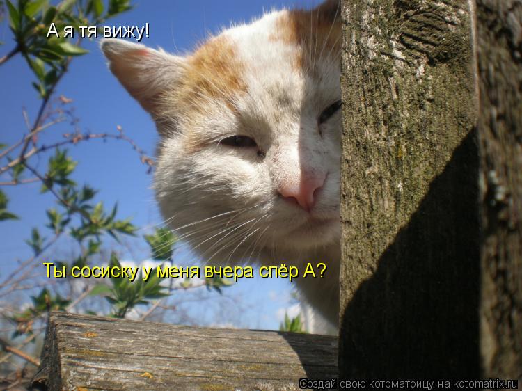 А я тя вижу! Ты сосиску у меня вчера спёр А?... Котоматрица: А я тя вижу! Ты сосиску у меня вчера спёр А?