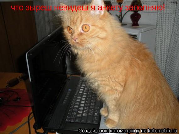 что зыреш невидеш я анкету заполняю!... Котоматрица: что зыреш невидеш я анкету заполняю!