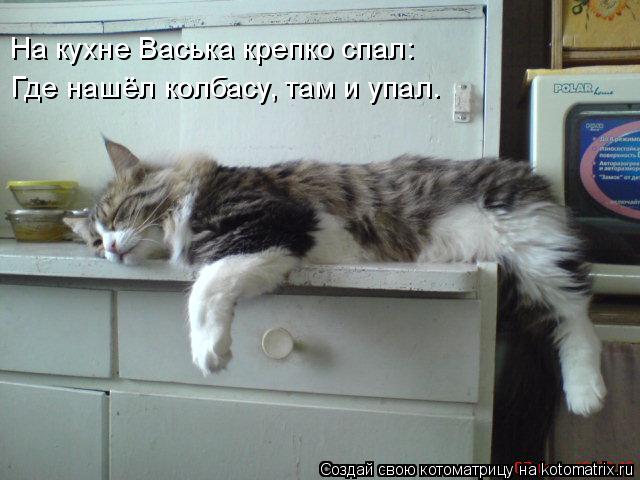 На кухне Васька крепко спал: Где нашёл колбасу, там и упал.... Котоматрица: На кухне Васька крепко спал: Где нашёл колбасу, там и упал.