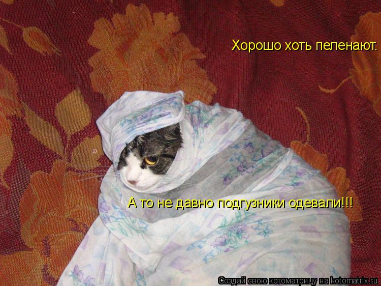 Хорошо хоть пеленают. А то не давно подгузники одевали!!! А то не давно подгузники одевали!!!... Котоматрица: Хорошо хоть пеленают. А то не давно подгузники одевали!!! А то не давно подгузники одевали!!!