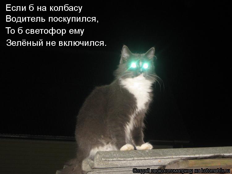 Если б на колбасу Водитель поскупился, То б светофор ему Зелёный не включился.... Котоматрица: Если б на колбасу Водитель поскупился, То б светофор ему Зелёный не включился.