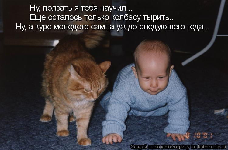 Ну, ползать я тебя научил... Еще осталось только колбасу тырить.. Ну, а курс молодого самца уж до сле... Котоматрица: Ну, ползать я тебя научил... Еще осталось только колбасу тырить.. Ну, а курс молодого самца уж до следующего года..