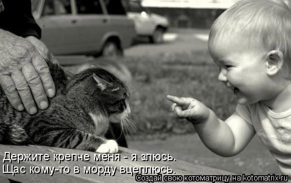 Держите крепче меня - я злюсь. Щас кому-то в морду вцеплюсь.... Котоматрица: Держите крепче меня - я злюсь. Щас кому-то в морду вцеплюсь.