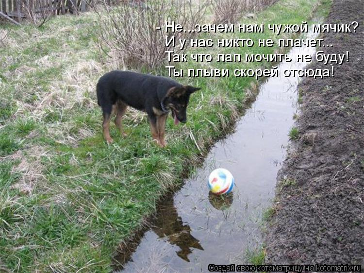 - Не...зачем нам чужой мячик? И у нас никто не плачет... Так что лап мочить не буду! Ты плыви скорей ... Котоматрица: - Не...зачем нам чужой мячик? И у нас никто не плачет... Так что лап мочить не буду! Ты плыви скорей отсюда!