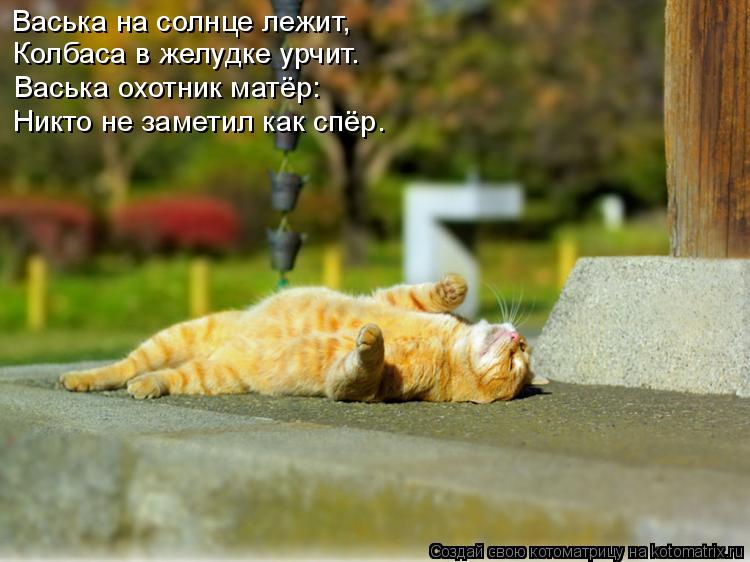 Васька на солнце лежит, Колбаса в желудке урчит. Васька охотник матёр: Никто не заметил как спёр.... Котоматрица: Васька на солнце лежит, Колбаса в желудке урчит. Васька охотник матёр: Никто не заметил как спёр.