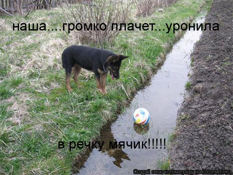 наша....громко плачет...уронила в речку мячик!!!!!... Котоматрица: наша....громко плачет...уронила в речку мячик!!!!!