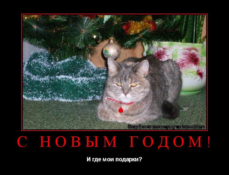 С Новым Годом! И где мои подарки?... Котоматрица: С Новым Годом! И где мои подарки?