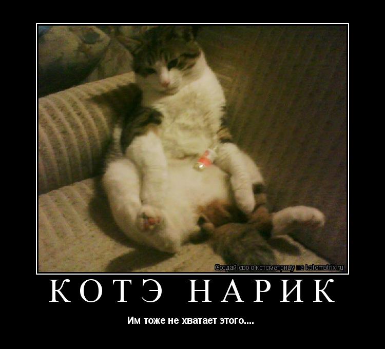 КотЭ Нарик Им тоже не хватает этого.... ... Котоматрица: КотЭ Нарик Им тоже не хватает этого....