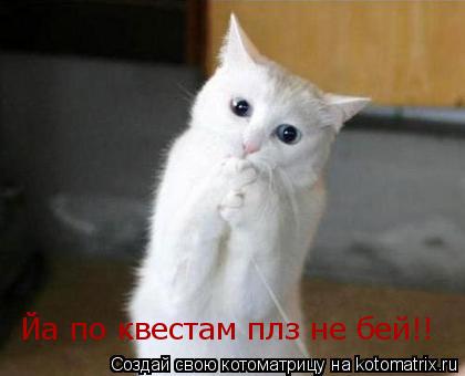 Йа по квестам плз не бей!!... Котоматрица: Йа по квестам плз не бей!!