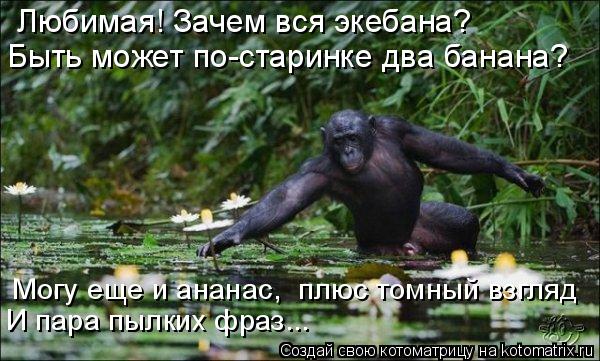Любимая! Зачем вся экебана? Быть может по-старинке два банана? Могу еще и ананас, плюс томный взгляд... Котоматрица: Любимая! Зачем вся экебана? Быть может по-старинке два банана? Могу еще и ананас, плюс томный взгляд И пара пылких фраз...