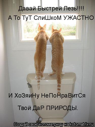Давай Быстрей Лезь!!!! А То ТуТ СлиШкоМ УЖАСТНО И ХоЗяиНу НеПоНраВитСя Твой ДаР ПРИРОДЫ.... Котоматрица: Давай Быстрей Лезь!!!! А То ТуТ СлиШкоМ УЖАСТНО И ХоЗяиНу НеПоНраВитСя Твой ДаР ПРИРОДЫ.