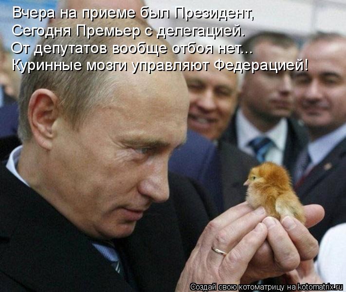 Вчера на приеме был Президент, Сегодня Премьер с делегацией. От депутатов вообще отбоя нет... Куринны... Котоматрица: Вчера на приеме был Президент, Сегодня Премьер с делегацией. От депутатов вообще отбоя нет... Куринные мозги управляют Федерацией!