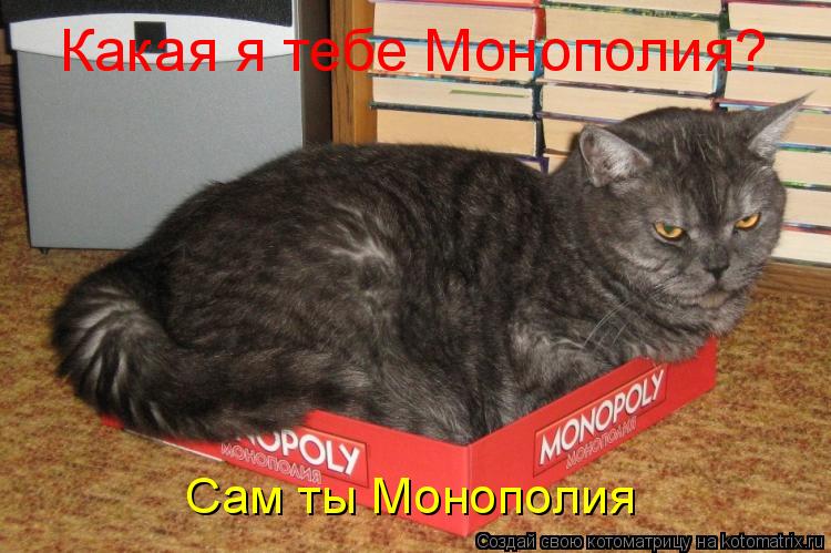 Какая я тебе Монополия? Сам ты Монополия... Котоматрица: Какая я тебе Монополия? Сам ты Монополия