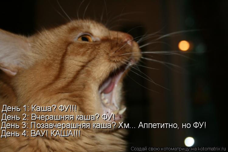 День 1: Каша? ФУ!!! День 2: Вчерашняя каша? ФУ! День 3: Позавчерашняя каша? Хм... Аппетитно, но ФУ! Д... Котоматрица: День 1: Каша? ФУ!!! День 2: Вчерашняя каша? ФУ! День 3: Позавчерашняя каша? Хм... Аппетитно, но ФУ! День 4: ВАУ! КАША!!!