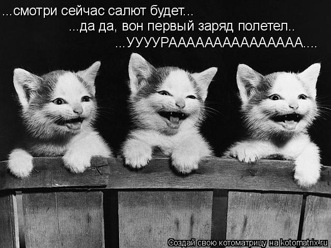 ...смотри сейчас салют будет... ...да да, вон первый заряд полетел.. ...УУУУРААААААААААААААА....... Котоматрица: ...смотри сейчас салют будет... ...да да, вон первый заряд полетел.. ...УУУУРААААААААААААААА....