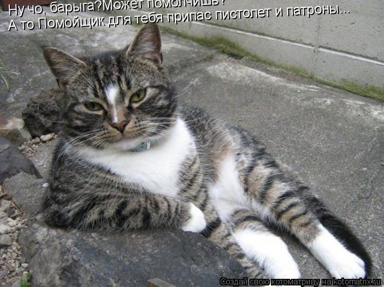 Ну чо, барыга?Может помолчишь? А то Помойщик для тебя припас пистолет и патроны...... Котоматрица: Ну чо, барыга?Может помолчишь? А то Помойщик для тебя припас пистолет и патроны...