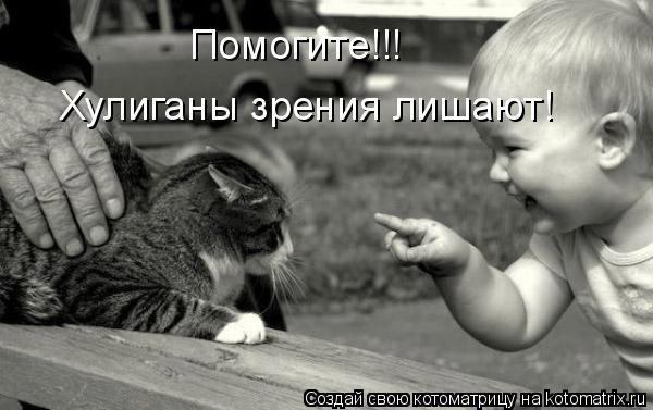 Помогите!!! Хулиганы зрения лишают!... Котоматрица: Помогите!!! Хулиганы зрения лишают!