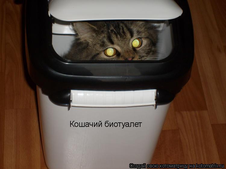 Кошачий биотуалет... Котоматрица: Кошачий биотуалет