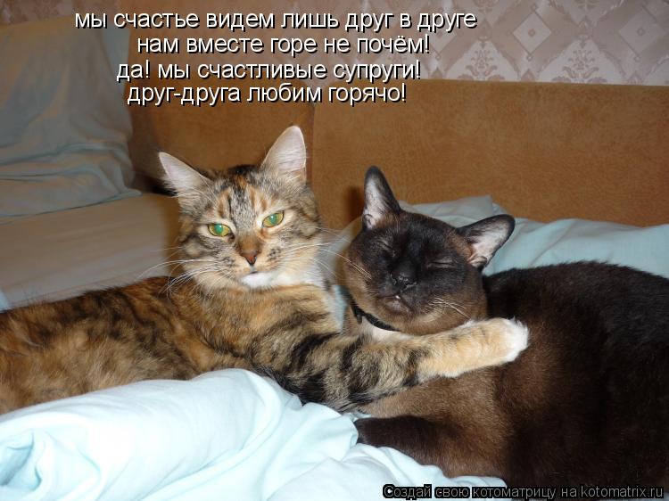мы счастье видем лишь друг в друге нам вместе горе не почём! да! мы счастливые супруги! друг-друга лю... Котоматрица: мы счастье видем лишь друг в друге нам вместе горе не почём! да! мы счастливые супруги! друг-друга любим горячо!