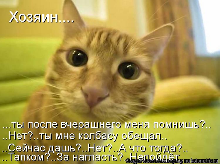 Хозяин.... ...ты после вчерашнего меня помнишь?.. ..Нет?..ты мне колбасу обещал.. ..Тапком?..За нагла... Котоматрица: Хозяин.... ...ты после вчерашнего меня помнишь?.. ..Нет?..ты мне колбасу обещал.. ..Тапком?..За нагласть?..Непойдёт.. ..Сейчас дашь?..Нет?..А что тогд