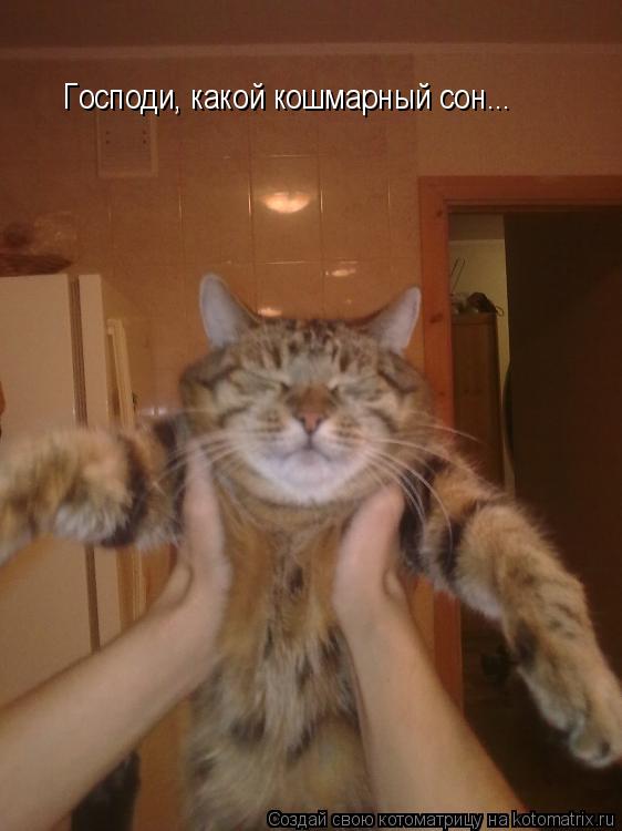 Господи, какой кошмарный сон...... Котоматрица: Господи, какой кошмарный сон...