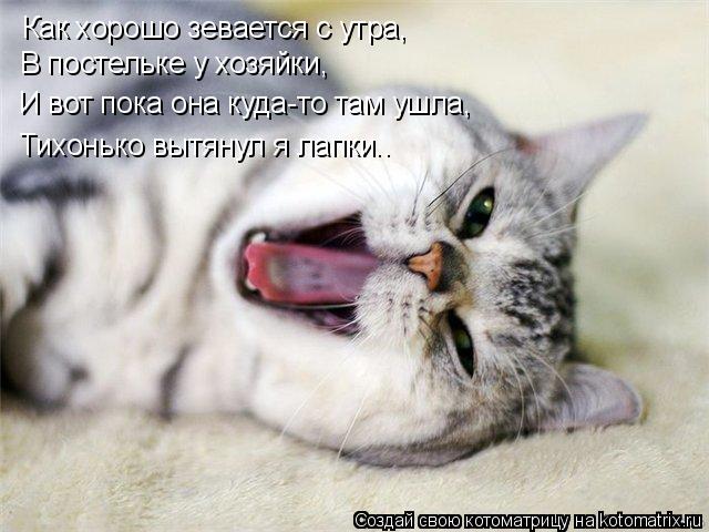 Как хорошо зевается с утра, В постельке у хозяйки, И вот пока она куда-то там ушла, Тихонько вытянул... Котоматрица: Как хорошо зевается с утра, В постельке у хозяйки, И вот пока она куда-то там ушла, Тихонько вытянул я лапки..