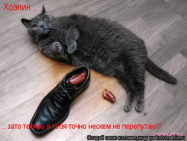 Хозяин... ...зато теперь я тебя точно нескем не перепутаю!!!... Котоматрица: Хозяин... ...зато теперь я тебя точно нескем не перепутаю!!!