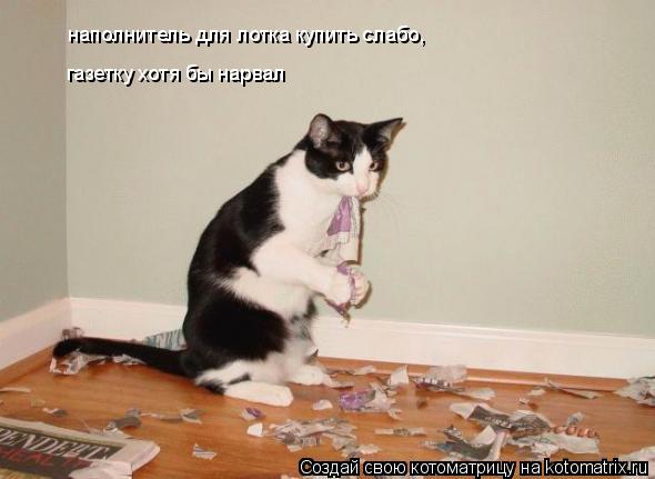 наполнитель для лотка купить слабо, газетку хотя бы нарвал... Котоматрица: наполнитель для лотка купить слабо, газетку хотя бы нарвал