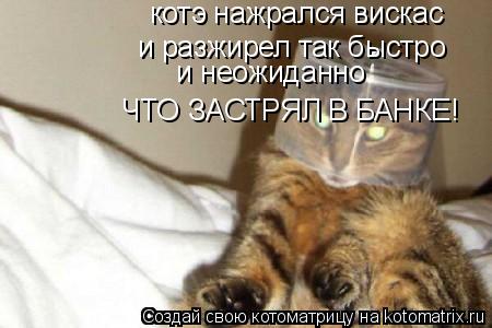 котэ нажрался вискас и разжирел так быстро и неожиданно ЧТО ЗАСТРЯЛ В БАНКЕ!... Котоматрица: котэ нажрался вискас и разжирел так быстро и неожиданно ЧТО ЗАСТРЯЛ В БАНКЕ!