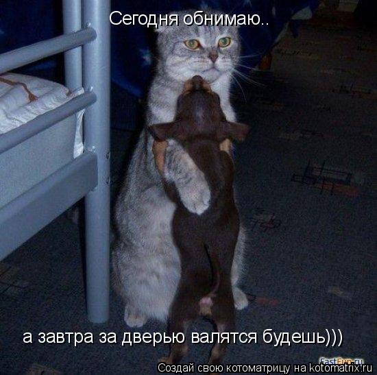 Сегодня обнимаю.. а завтра за дверью валятся будешь)))... Котоматрица: Сегодня обнимаю.. а завтра за дверью валятся будешь)))