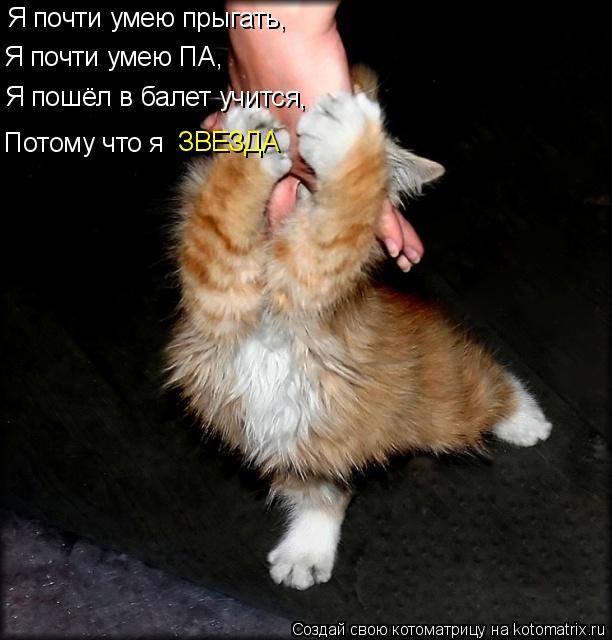 Я почти умею прыгать, Я почти умею ПА, Я пошёл в балет учится, Потому что я ЗВЕЗДА... Котоматрица: Я почти умею прыгать, Я почти умею ПА, Я пошёл в балет учится, Потому что я ЗВЕЗДА