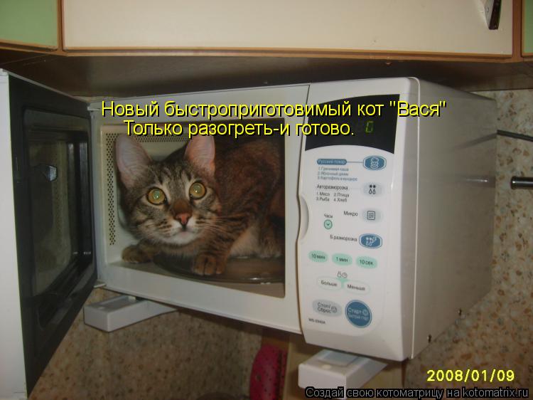 Новый быстроприготовимый кот 'Вася' Только разогреть-и готово.... Котоматрица: Новый быстроприготовимый кот 'Вася' Только разогреть-и готово.